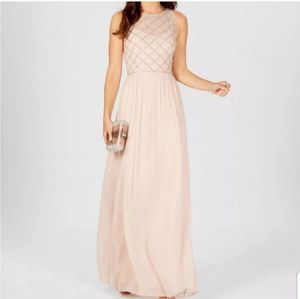 Adrianna Papell Bodice Chiffon Gown Pink 18